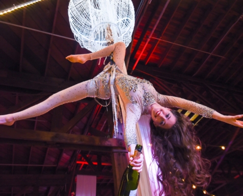 Entertainment Holiday Paty Aerial Silk Dancer Performance