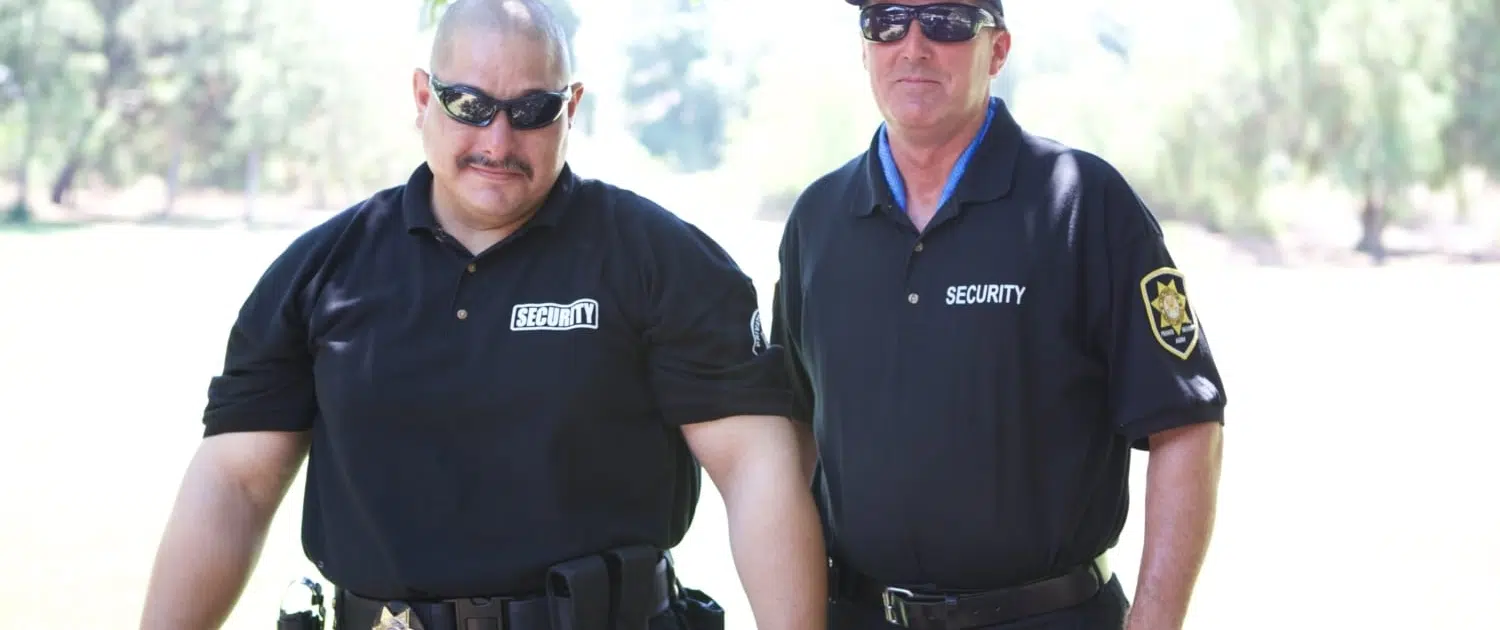 Security at CSI Electric's Company Picnic