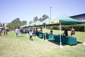 Fun Food Zone for Catered Company Carnival in San Diego Fun Food Zone for Catered Company Carnival in San Diego