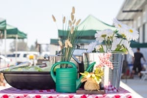 Catering Decor Daylight 40th Anniversary Family Friendly Event Catering Decor Daylight 40th Anniversary Family Friendly Event