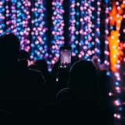 Christmas Lights at Winter Picnic