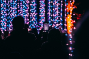 Christmas Lights at Winter Picnic