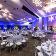 ES EO 2080 - Arconic Holiday - Full Resolution-1