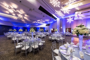 ES EO 2080 - Arconic Holiday - Full Resolution-1 ES EO 2080 - Arconic Holiday - Full Resolution-1