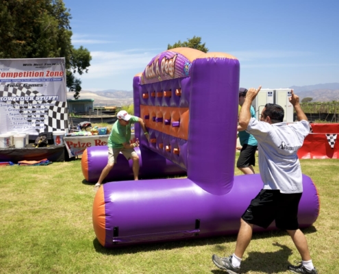 Inflatable Games for Company Picnics - Whack a Peg Inflatable Games for Company Picnics - Whack a Peg