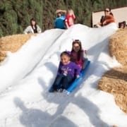 xmas-picnic-sledding