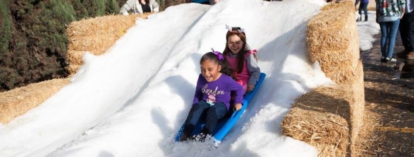 xmas-picnic-sledding