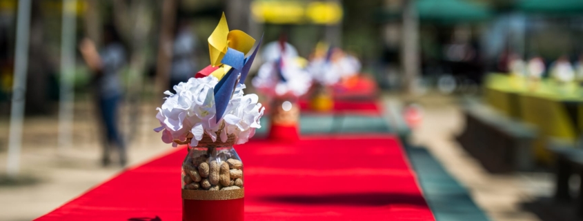 Peanut Summer Picnic Americana Themed Peanut Summer Picnic Americana Themed