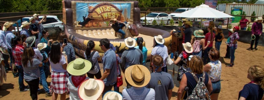 Western Picnic Theme Western Picnic Theme