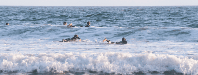 surfers