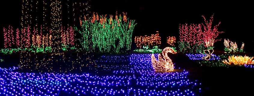 Holiday Lights Drive Thru Holiday Party Alternative Event Holiday Lights Drive Thru Holiday Party Alternative Event