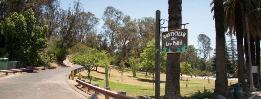 Best Picnic Spots in Los Angeles Elysian & Montecillo de Leo Politi Park