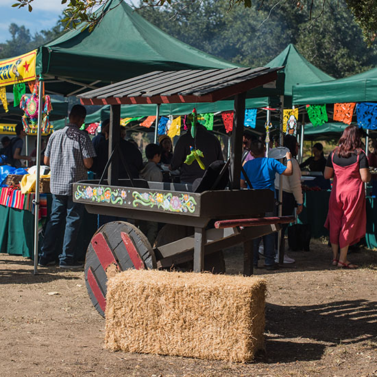 Themed Buffet with Picnic BBQ at AltaMed Día de Muertos Picnic in Los Angeles