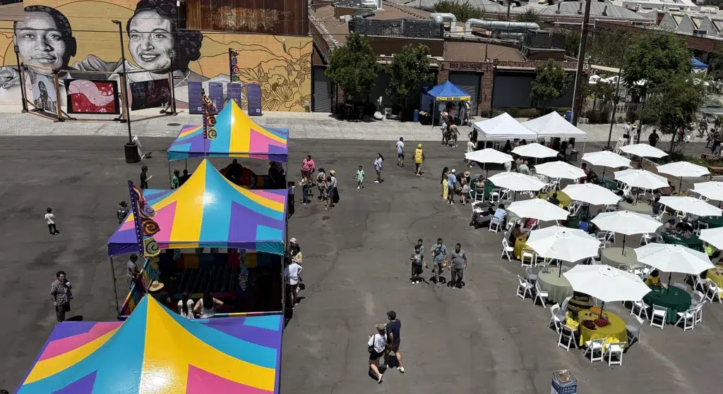 Overview of Picnic Setup for AHF Family Fun Day at Greek Theatre in Griffith Park in LA California
